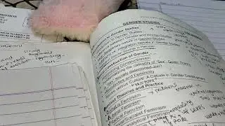 How I secured 77 marks in Gender studies||Gender studies as an optional subject||How to cover it