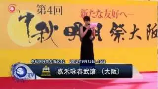 咏春拳 史蒂芬师父  Master Steve McGowan-  Wing Chun