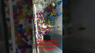 restore tank for gold fish
