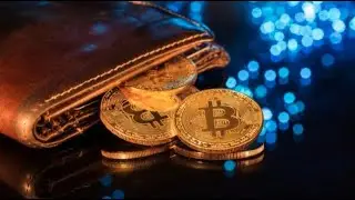 Top 5 Cryptocurrency Wallets 2021