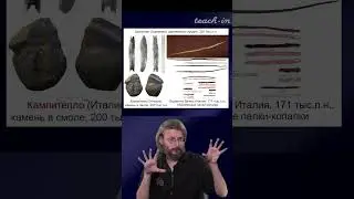 Wooden tools \ Stanislav Drobyshevsky #anthropology #evolution #science
