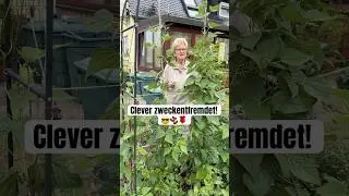So ernten wir Stangenbohnen extrem bequem! 🫘🫛 #gartentipps