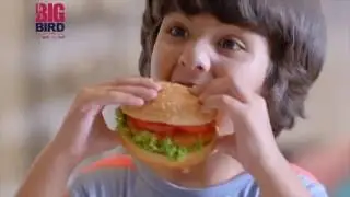 Big Bird Foods TVC ..Showreel By Technic Terminal