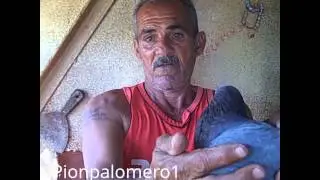 Mete Mete de Parraga.