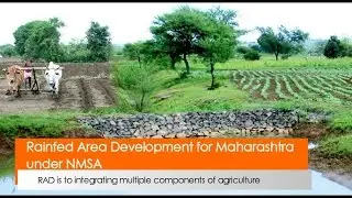 Rainfed Area Development for Maharashtra under NMSA