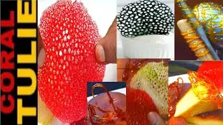 Coral Tuile ||How to make perfect Coral Tuile Garnish & Sugar decoration,easy tips#Garnish recipe