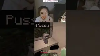 do we like pussycat? | MINECRAFT