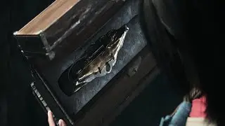 Assassin's Creed: Shadows - Часть 129: Церемония вручения дипломов