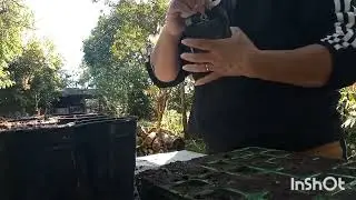RS, aben&ccedil;oado, &eacute;poca boa pra semear,bora plantar comida,