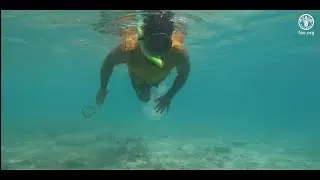 Raising the voice and empowering Pacific small-scale fishers and fish farmers