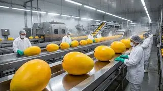 Inside a Modern Mango Juice Factory | From Fresh Mangoes to Bottled Juice (Full Process)