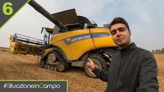 TREBBIATURA MAIS, GIRASOLE e SOIA 2022 + Produzioni - Situazione in Campo #6 [Stagione 4]