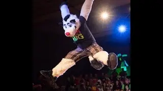 FWA 2016 Fursuit Dance Competition Solo Entry