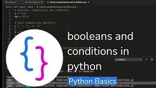 Python Basics - booleans and conditions