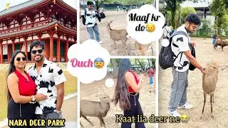 Dinosaur ne kia swagat😍|Tokyo Airport|Nara Deer Park