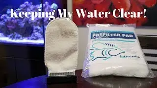 Crystal Clear Water In Your Reef