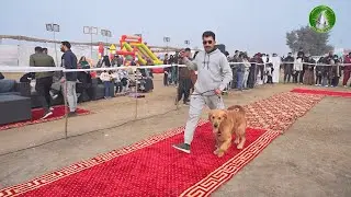 3rd Day Event Highlights | PET SHOW & FAMILY FESTIVAL 2025.