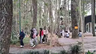 Ramey saksikan Jalan,, di taman #hutan #ir #juanda  #dago #bandung