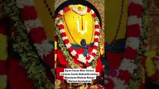 Sri Varaha Lakshmi Narasimha Swamy Chandanotsavam in Simhachalam #vizag #mantra