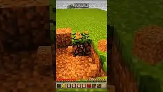 Момент из Minecraft 💀