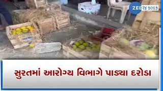 Surat માં Health Department ના દરોડા | Inspection of Health Department inspection at mango traders