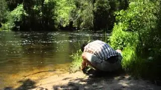 Bosques de Galicia