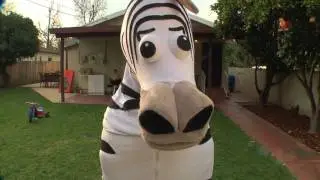KAAS BRA ZEBRA MIX [#nostalgia ] [Rated#memes]