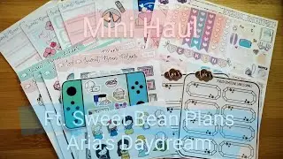 Mini Haul // Sweet Bean Plans // Arias Daydream #haul #minihaul