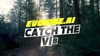 Catch the Vibe - evovibe.ai | Bassline