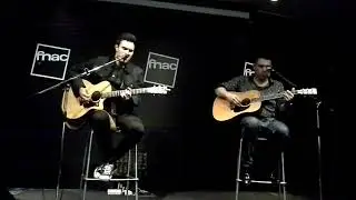 Animal - Peter Serrado