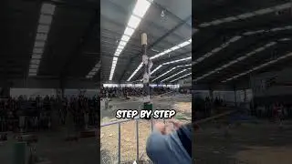 Climbing to Victory: The Springboard Showdown! #trending