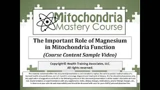 Mitochondria Mastery Course - The Role of Magnesium in Mitochondria Function