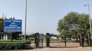 Birdwatching & Nature Walk: Aravalli Biodiversity Park, Delhi 🦜