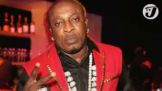 Elephant Man Covers 1962 Tik Tok Hit for a 2025 Return to Form