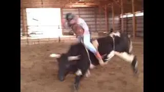 Crazy 3 Buck'n Bulls & Cattle Co - Practice 03 11 2012 022