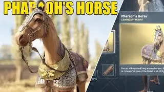 ASSASSINS CREED ORIGINS - HOW TO GET PHARAOH'S HORSE