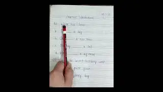 English | Practice Worksheet ( Use of has / have & Describing Words)