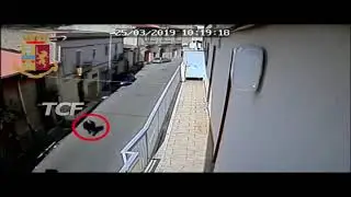 ARRESTO FATTUCCHIERA
