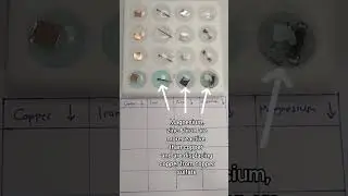Displacement Reactions | Timelapse