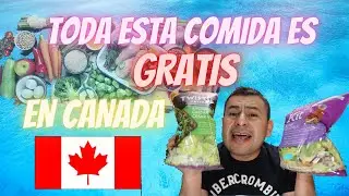 TODA ESTA COMIDA ES GRATIS EN CANADA