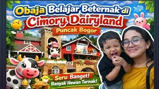 Obaja Belajar Beternak Hewan  di  Cimory Dairyland Puncak Bogor..