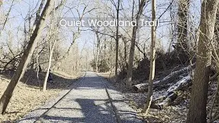 Quiet Woodland Rail Trail with Wind and Distant Gulls