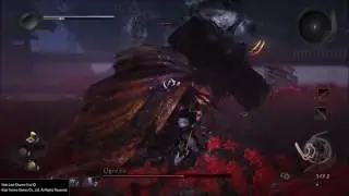 Nioh Last Chance Trial - Ogress