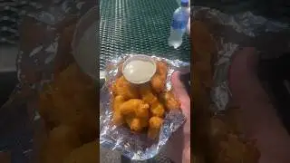 Cheese curds 🧀 Tulsa State Fair #tulsarealtor #fair #cheesecurds