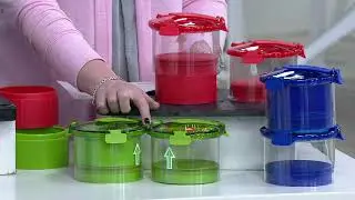 Guac Lock Guacamole & Dip Freshness System on QVC