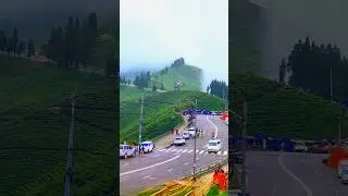Kanyam Ilam2025#Kanyam #kanyamilam #kanyamnepal #shorts #viral #trendingshorts #shortsvideo #ytshort