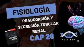 CAP 28-REABSORCI&Oacute;N Y SECRECI&Oacute;N TUBULAR RENAL-FISIOLOG&Iacute;A M&Eacute;DICA DE GUYTON Y HALL-RESUMEN