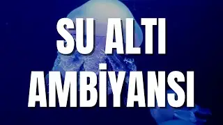 Rahatlamak için En İyi 1080P Su Altı Ambiyansı 🐠 Rahatlatıcı Okyanus Manzaraları - Uyku Meditasyonu