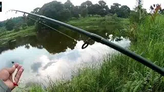 memancing haruan( umpan sp ekor merah ) mantap