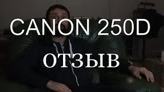 CANON 250 D отзыв и сравнение с 600